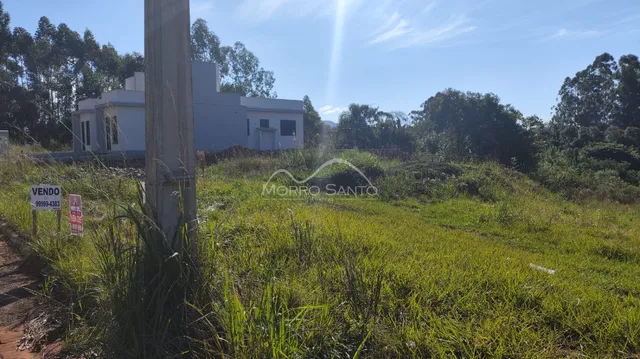 Terreno, foto 2