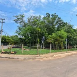 Vista externa do terreno com grama e vegetação ao lado de uma cerca.