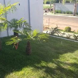 Casa com 3 dormitórios, foto 10