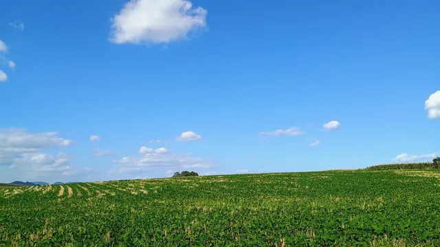 Área rural com 7 dormitórios, foto 5