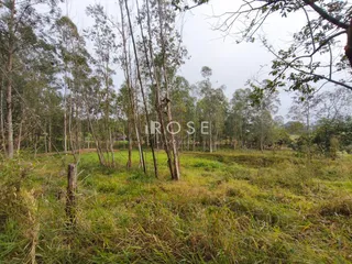 Área rural, foto 6