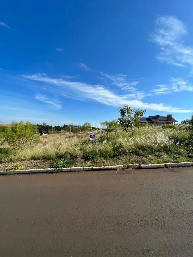 Terreno, foto 2