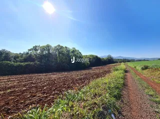 Vista de um campo com vegetação e uma trilha de terra em uma paisagem rural.