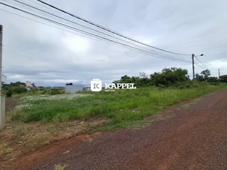 Vista externa de uma área com vegetação alta e estrada de terra.