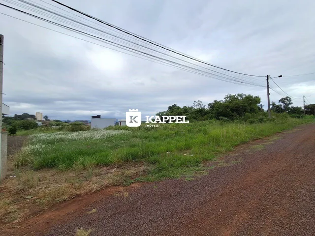Vista externa de uma área com vegetação alta e estrada de terra.