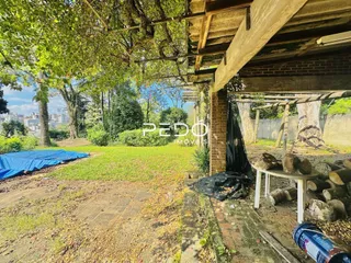Vista externa de um quintal com vegetação e estrutura de madeira.