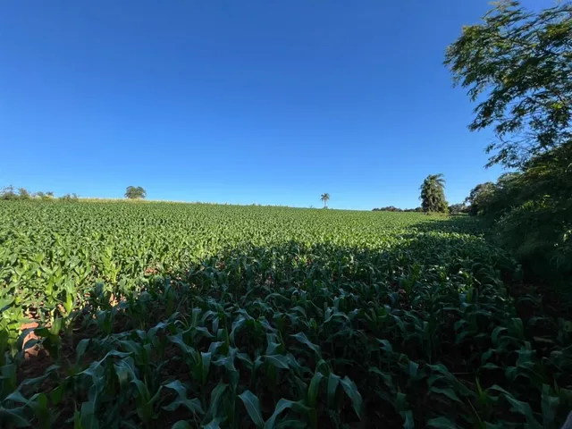 Área rural, foto 3
