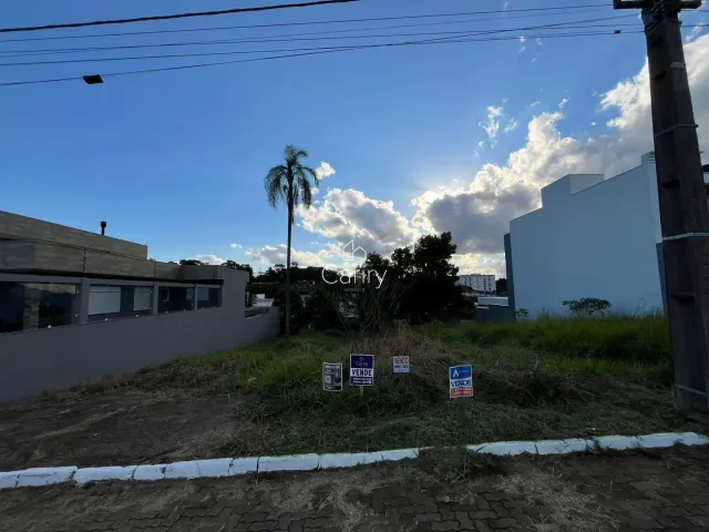 Terreno, foto 2