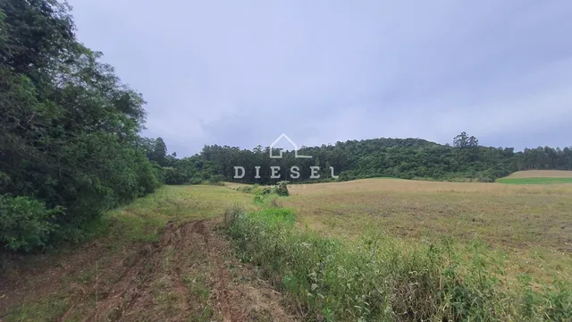 Área rural, foto 5