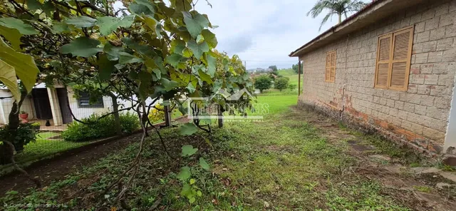 Terreno, foto 4