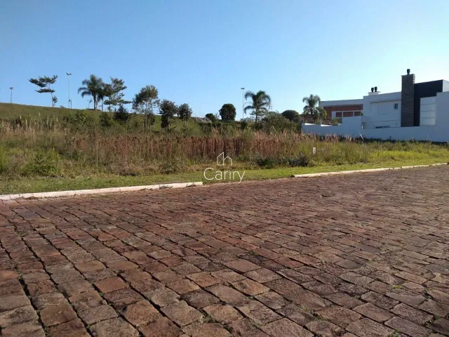 Terreno, foto 2