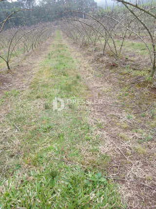 Área rural, foto 5