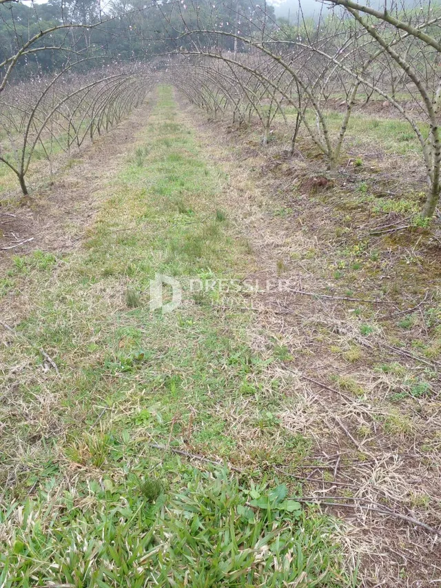 Área rural, foto 5