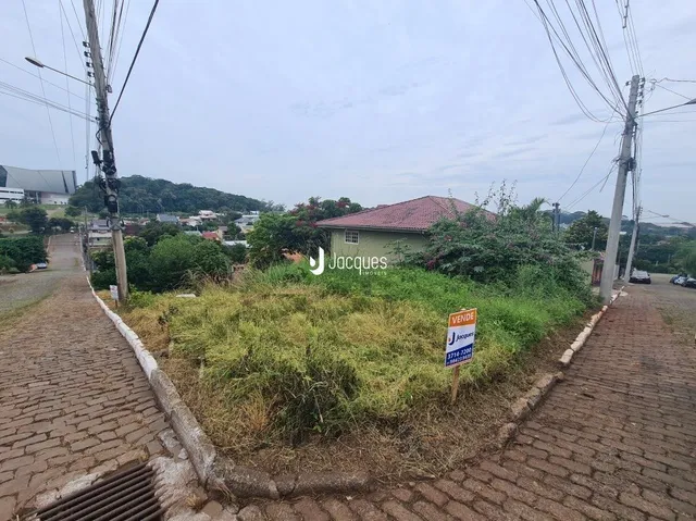 Vista da propriedade com vegetação alta ao longo da estrada.