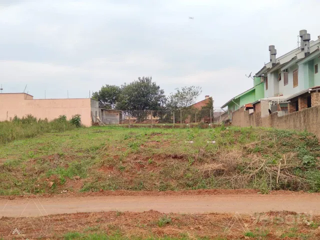 Terreno, foto 2