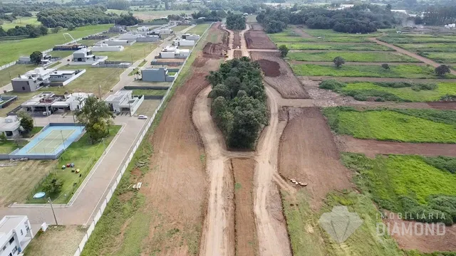 Terreno, foto 5