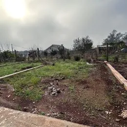 Casa geminada com 2 dormitórios, foto 17