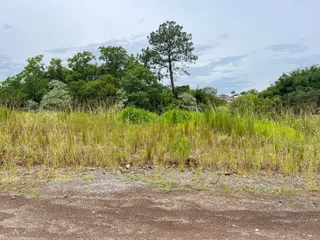 Terreno, foto 1
