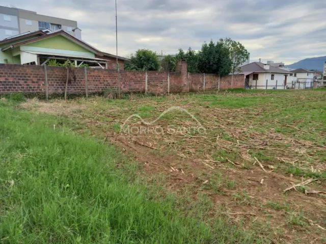 Terreno, foto 5