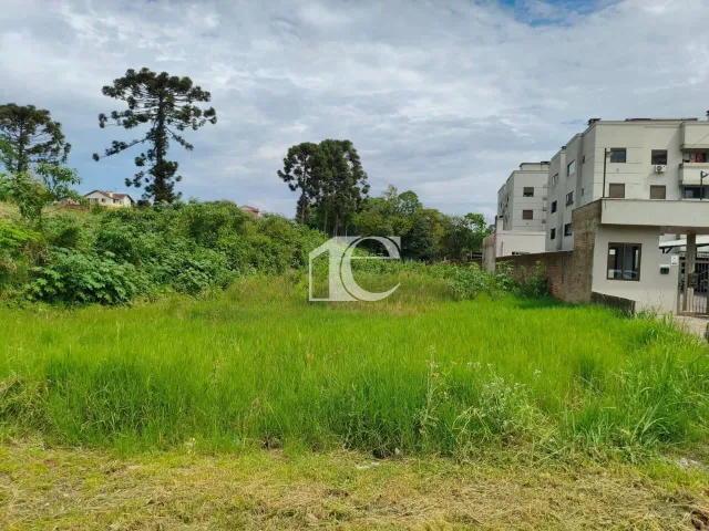 Terreno, foto 2