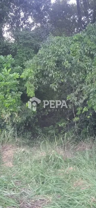 Terreno, foto 5