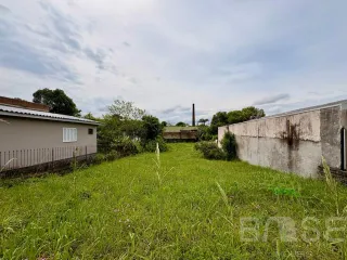 Terreno, foto 3