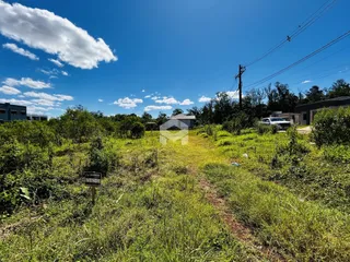 Vista externa de um terreno com vegetação alta e caminho de terra.