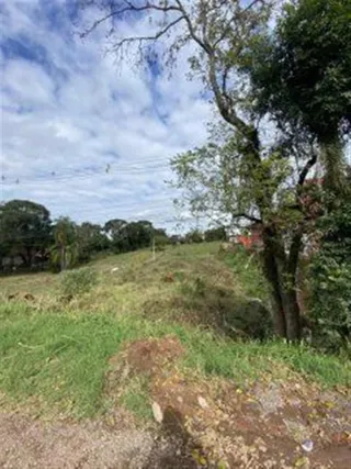 Terreno, foto 2