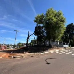 Terreno, foto 3