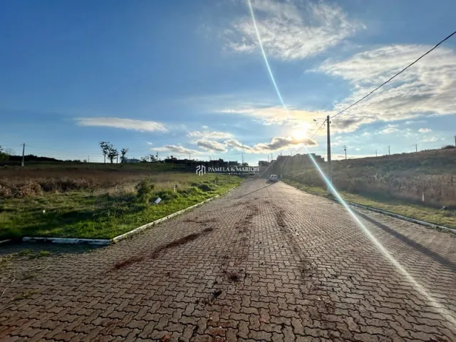 Vista de uma estrada de terra batida em uma área rural.