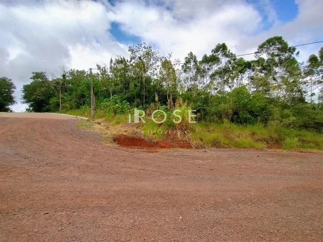 Terreno, foto 4