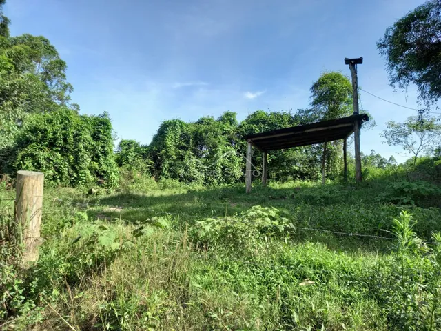 Área rural, foto 3