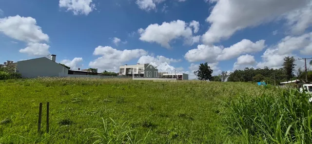 Terreno, foto 2