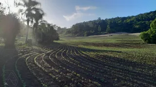 Área rural, foto 15
