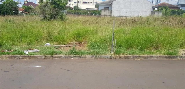 Terreno, foto 3