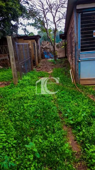 Terreno, foto 6