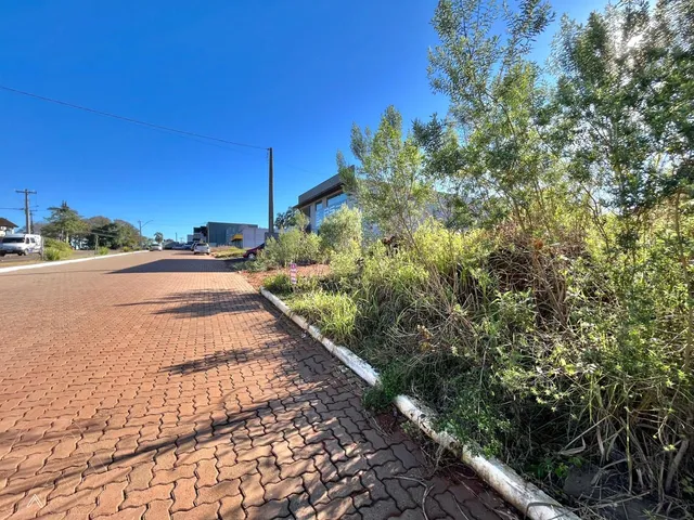 Terreno, foto 3