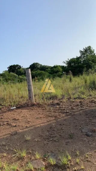 Terreno, foto 2