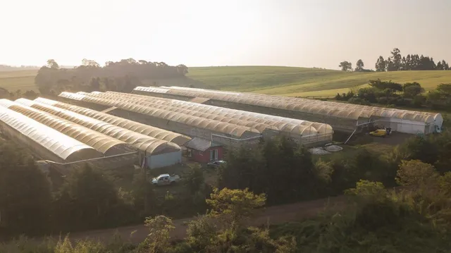 Área rural, foto 4