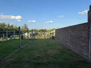 Vista externa de um quintal com gramado e cerca de muro de tijolos.