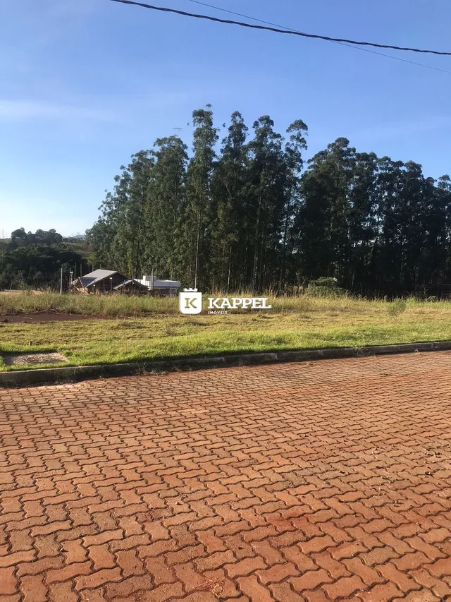 Vista externa de uma área gramada com árvores ao fundo.