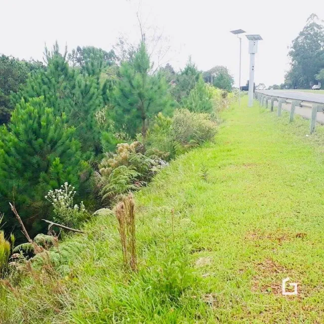 Terreno, foto 2