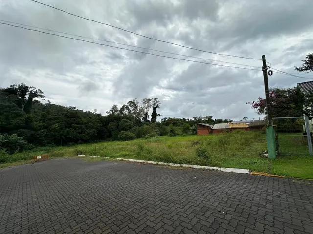 Terreno, foto 3