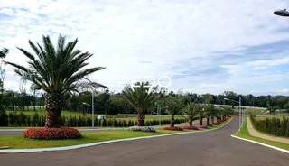 Vista da paisagem com árvores e estrada em Lajeado, Brasil.