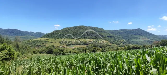Área rural, foto 5