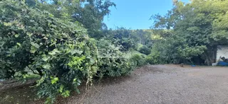 Área rural com 3 dormitórios, foto 17