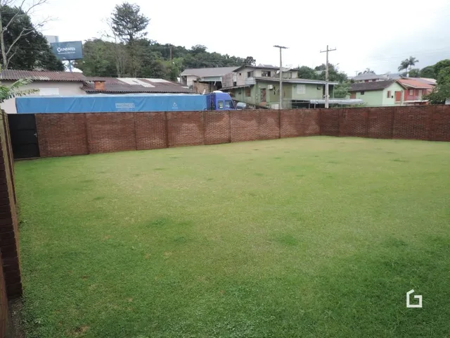 gramado verde com muro de tijolos no fundo