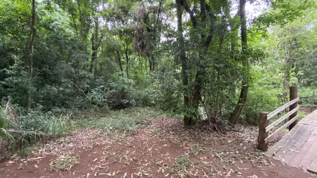 Área rural com 2 dormitórios, foto 5