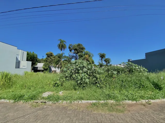 Terreno, foto 5