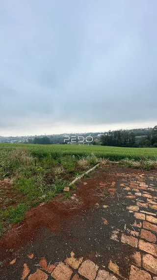 Terreno, foto 3